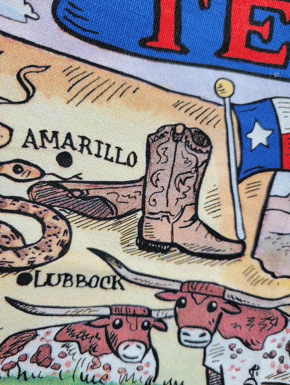 Texas Lone Star State Colorful Tea Towel Art by Carrie Wagner ~ NWOT